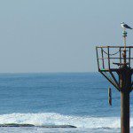 תמונות של בית הספר